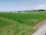 愛知県豊橋市の競売物件 68万円 農地 991m&sup2;
