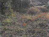 福岡県福岡市早良区の競売物件 1,272万円 農地 2,468m&sup2;