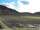 岐阜県岐阜市の競売物件 103万円 農地 1,002m&sup2;
