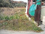 大阪府茨木市の競売物件 171万円 農地 1,332m&sup2;