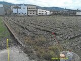 大阪府東大阪市の競売物件 6,647万円 農地 3,876m&sup2;
