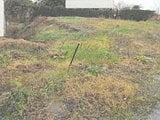 徳島県鳴門市の競売物件 44万円 土地 241m&sup2;