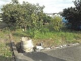 徳島県板野郡上板町の競売物件 48万円 農地 1,106m&sup2;