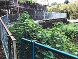 神奈川県足柄下郡湯河原町の競売物件 75万円 農地 568m&sup2;