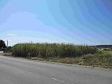 沖縄県糸満市の国税庁公売物件 160万円 農地 1,143m&sup2;
