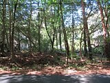 山梨県南都留郡鳴沢村の官公庁公売物件 31万円 土地 167m&sup2;