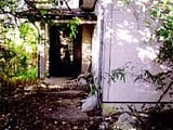千葉県いすみ市の競売物件 84万円 戸建て 86m&sup2;