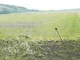 秋田県秋田市の競売物件 94万円 農地 4,711m&sup2;
