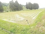 秋田県秋田市の競売物件 60万円 農地 3,274m&sup2;