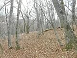 山梨県南都留郡山中湖村の競売物件 1,475万円 土地 4,949m&sup2;
