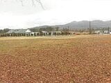 山梨県南都留郡山中湖村の競売物件 2,790万円 土地 3,047m&sup2;