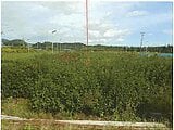 三重県鈴鹿市の競売物件 58万円 農地 1,289m&sup2;