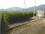 三重県鈴鹿市の競売物件 88万円 農地 1,464m&sup2;