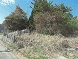 佐賀県武雄市の競売物件 140万円 土地 534m&sup2;