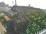 宮城県仙台市太白区の競売物件 188万円 戸建て 83m&sup2;