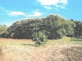 茨城県石岡市の競売物件 17万円 農地 1,168m&sup2;
