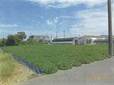 静岡県浜松市中央区の競売物件 260万円 農地 1,394m&sup2;