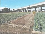 茨城県水戸市の競売物件 4万円 農地 122m&sup2;