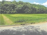 茨城県常陸太田市の競売物件 34万円 農地 1,584m&sup2;