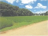 茨城県常陸太田市の競売物件 65万円 農地 3,033m&sup2;