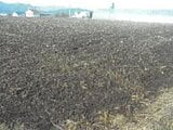 長野県東御市の競売物件 97万円 農地 2,045m&sup2;