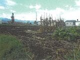 長野県東御市の競売物件 37万円 農地 1,017m&sup2;