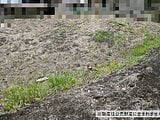 千葉県館山市の国税庁公売物件 55万円 農地 526m&sup2;