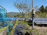 三重県北牟婁郡紀北町の国税庁公売物件 67万円 土地 852m&sup2;