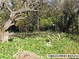 神奈川県茅ヶ崎市の国税庁公売物件 420万円 農地 750m&sup2;