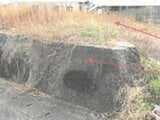 徳島県徳島市の競売物件 340万円 土地 264m&sup2;