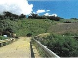 沖縄県名護市の競売物件 994万円 土地 29,851m&sup2;
