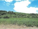 沖縄県宮古島市の競売物件 37万円 土地 1,161m&sup2;