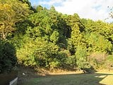 千葉県山武市の国税庁公売物件 11万円 土地 1,850m&sup2;
