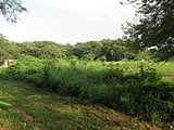 長野県伊那市の国税庁公売物件 28万円 農地 803m&sup2;