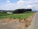 群馬県伊勢崎市の国税庁公売物件 41万円 農地 2,445m&sup2;