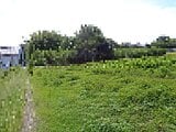 新潟県新潟市江南区の国税庁公売物件 74万円 農地 596m&sup2;