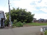 新潟県新潟市江南区の国税庁公売物件 105万円 農地 538m&sup2;