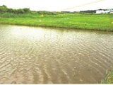 鹿児島県曽於郡大崎町の競売物件 169万円 農地 7,022m&sup2;