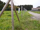 栃木県日光市の国有財産売却物件 406万円 農地 1,896m&sup2;