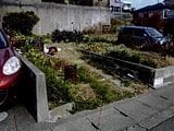 愛知県蒲郡市の競売物件 290万円 農地 96m&sup2;