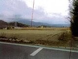 愛知県豊川市の競売物件 349万円 農地 5,178m&sup2;