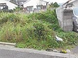 大分県別府市の競売物件 123万円 土地 500m&sup2;