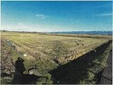 新潟県長岡市の競売物件 54万円 農地 2,204m&sup2;