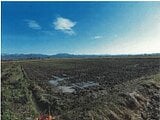 新潟県長岡市の競売物件 46万円 農地 2,042m&sup2;