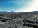新潟県長岡市の競売物件 45万円 農地 2,023m&sup2;
