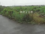 佐賀県杵島郡白石町の競売物件 121万円 農地 7,290m&sup2;