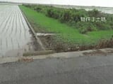 佐賀県杵島郡白石町の競売物件 53万円 農地 3,088m&sup2;