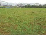 山梨県笛吹市の競売物件 105万円 農地 2,246m&sup2;