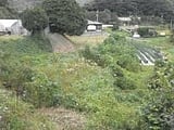 山口県下関市の競売物件 120万円 土地 638m&sup2;