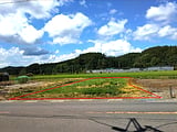 青森県東津軽郡外ヶ浜町の国有財産売却物件 61万円 土地 322m&sup2;